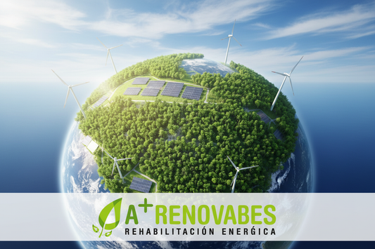 Día Mundial del Medio Ambiente 2026: cómo tu hogar puede salvar el planeta