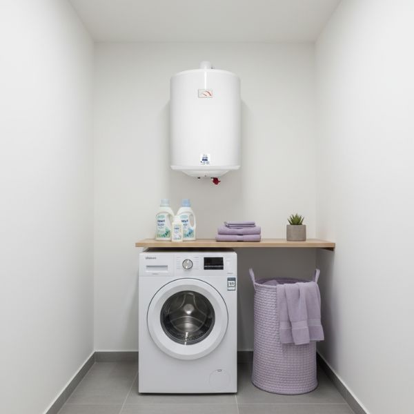 Termo Eléctrico Thermor Delta Vertical – 50L | 80L | 100L · Cuba Vitrificada de Alta Durabilidad Thermor Delta