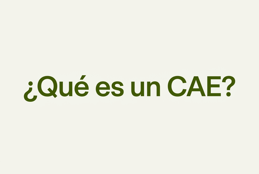 Imagen con el texto «¿Qué es un CAE?»